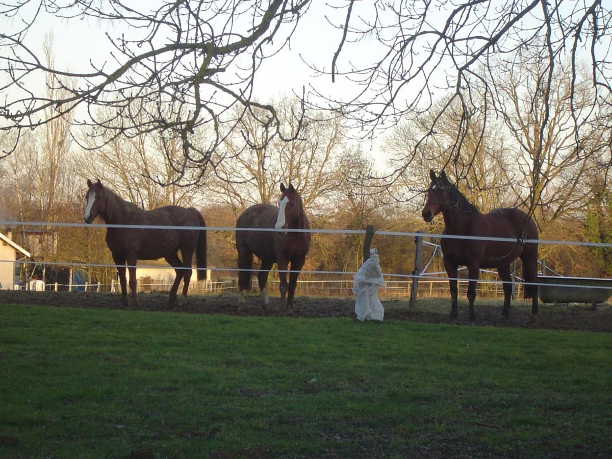 Ferme Passion Bed and Breakfast Saint-Trivier-sur-Moignans Εξωτερικό φωτογραφία