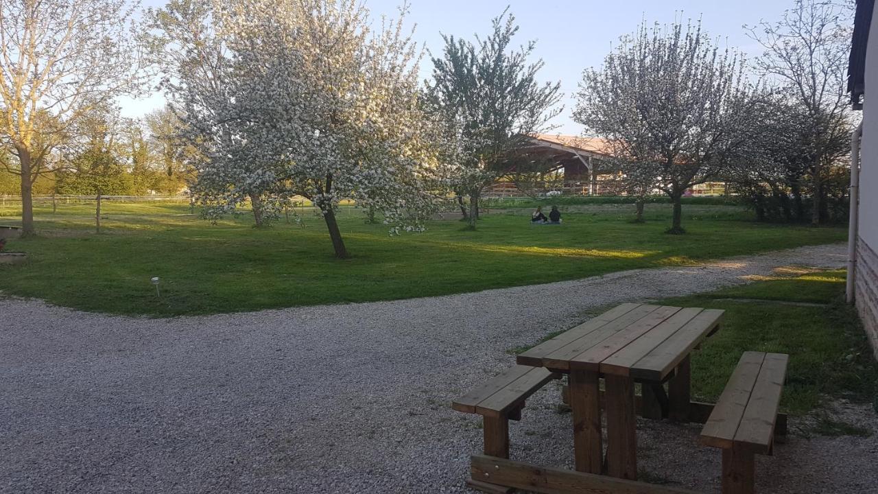 Ferme Passion Bed and Breakfast Saint-Trivier-sur-Moignans Εξωτερικό φωτογραφία